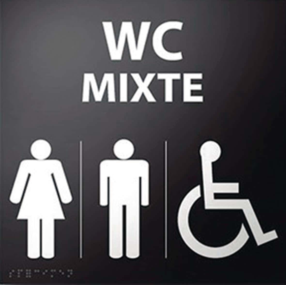 Panneau relief et braille WC mixte picto handicapé Manutan fr