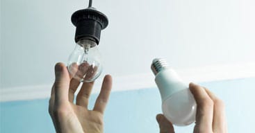 Guide d’achat : quelle ampoule basse consommation choisir pour votre entreprise ?
