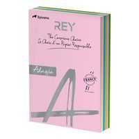 Ramette 500 feuilles A4 80g 5 teintes pastel assorties - Rey