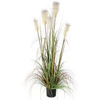 Herbe de vulpin 150cm - Vepabins