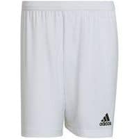 Short - adidas - entrada 22 blanc