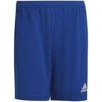 Short - adidas - entrada 22 bleu royal