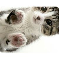 Tapis de souris illustre Kitty - TNB