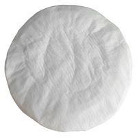 Filtre coton pour aspirateur Cleanfix S10/S10 Plus