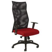 Fauteuil HODE HD GGI