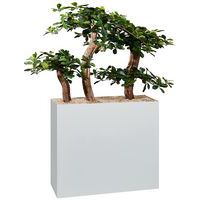 Jardinière métal sur roulettes hauteur 74 cm Bonzaï