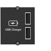 Plastron chargeur à 2 ports USB - Bachmann