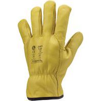 Gants Eurowinter FINLANDE - Coverguard