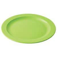 Lot de 10 assiettes plates Ø 22,5 cm mélamine Plastorex