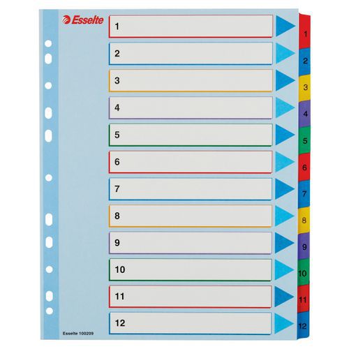 Intercalaire A4+ réinscriptible - Multicolore - Esselte