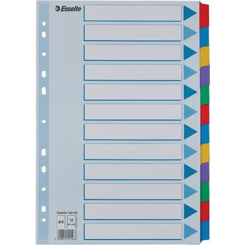 Intercalaire A4 - Carton Mylar - lot de 10 - Esselte