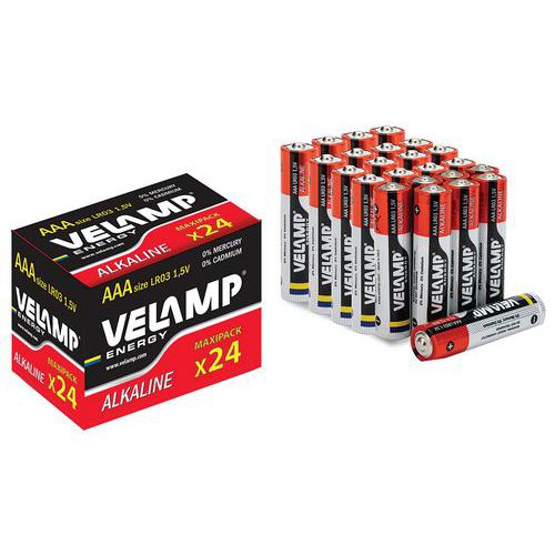 Lot de 24 piles alcalines- VELAMP