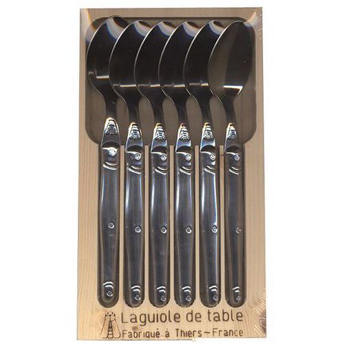 Cuilleres X6 Laguiole Inox     Coffret - Laguiole