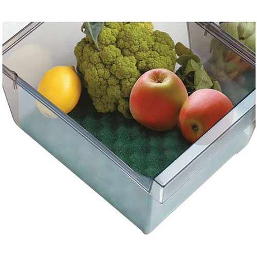 Base Conservante P/Bac Frigo 40X30Cm - Rayen