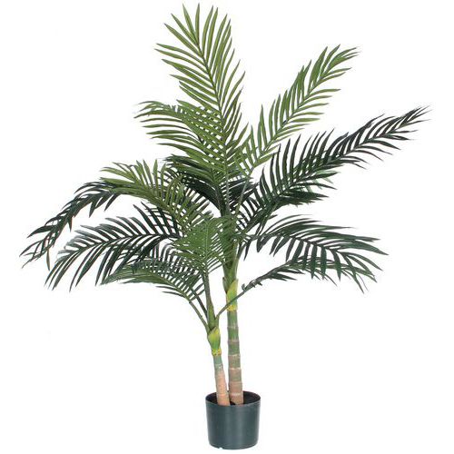 Palmier Areca Golden Cane 120cm - Vepabins