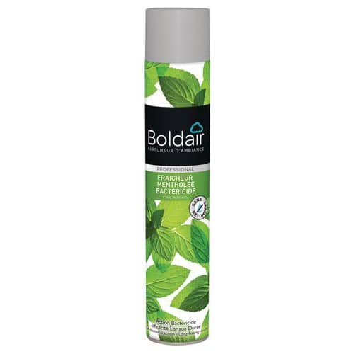 Boldair fraicheur mentholée bactéricide - 500ml