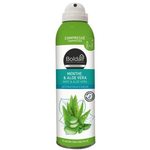 Destructeur d'odeurs menthe & aloé vera - 250mL - Boldair