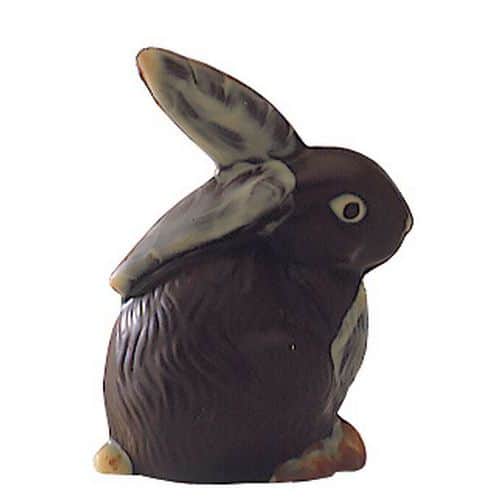 Moule forme Lapin_Matfer