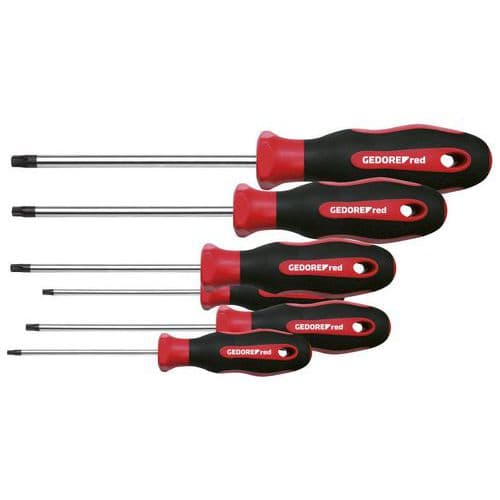 Jeu tournevis Torx 6 pièces R38402006 - GedoreRed