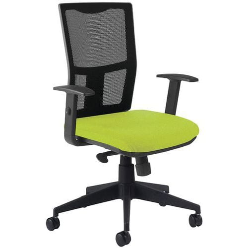 Fauteuil Ritz accoudoir réglable - Manutan Expert