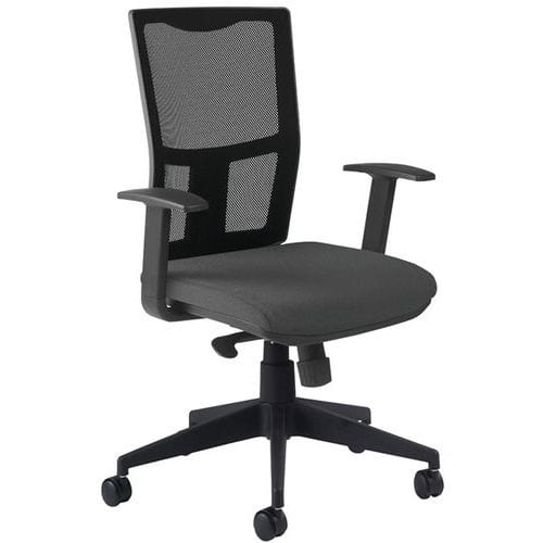 Fauteuil Ritz accoudoir fixe - Manutan Expert