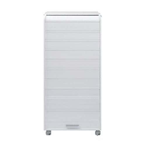 Armoire informatique mobile blanc Orga