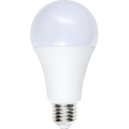 Ampoule LED standard A70 E27 12W non-dimmable opale - SPL