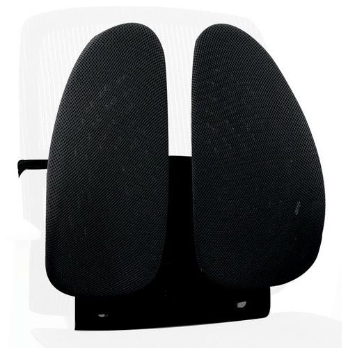 Support dorsal ergonomique - Angel - Fellowes