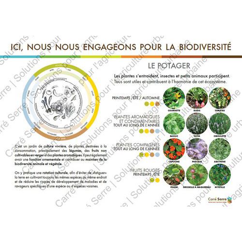 Panneau éducatif - Le potager Carre Serre