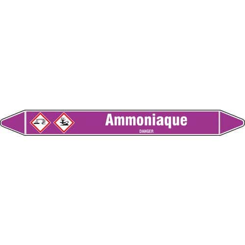 Marquage tuyauterie Amoniaque