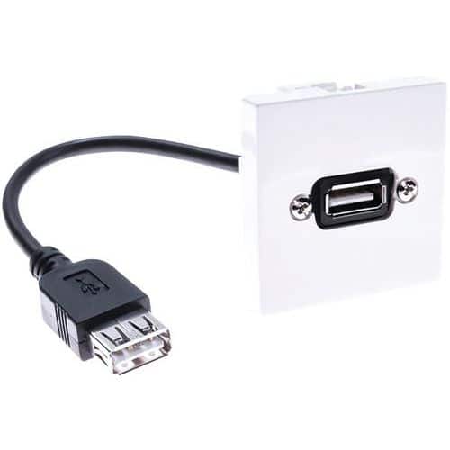 Plastron USB A/A F-F 0,10M