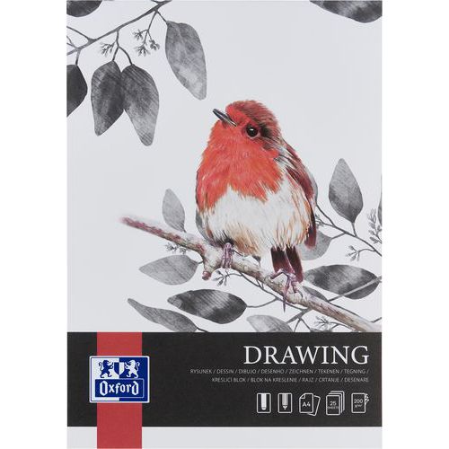 Bloc dessin Drawing Art endossé A4 25p 200g - Oxford