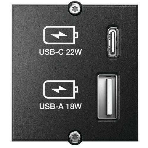 Plastron chargeur à 2 ports USB A et C - Bachmann