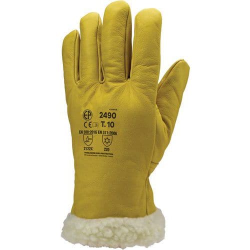 Gants Eurowinter Islande - Coverguard