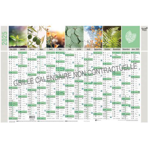 Calendrier annuel Equology - 65 x 43 cm - 2025 - Quo Vadis