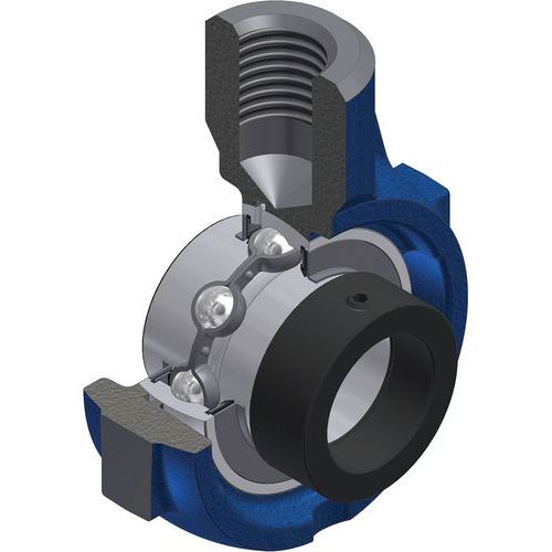 Roulement à billes à Insert radial, bague excentrique - série EXEHE200