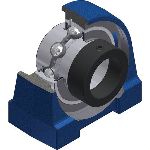 Roulement à billes à Insert radial, bague excentrique - série EXPG200