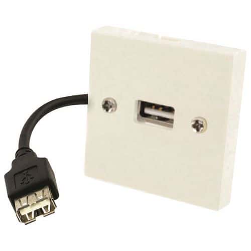 Plastron USB pour encastrement de prise Erard D3C