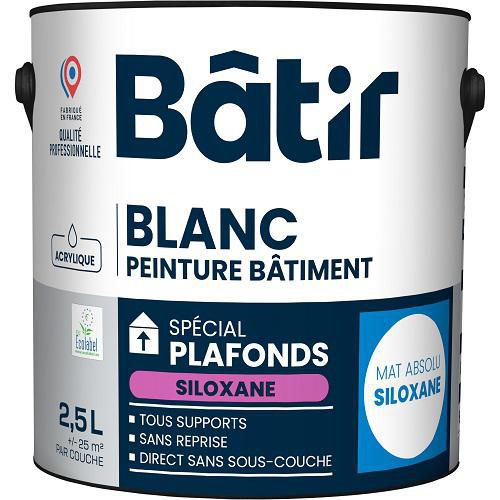 Peinture spéciale plafond - Batir