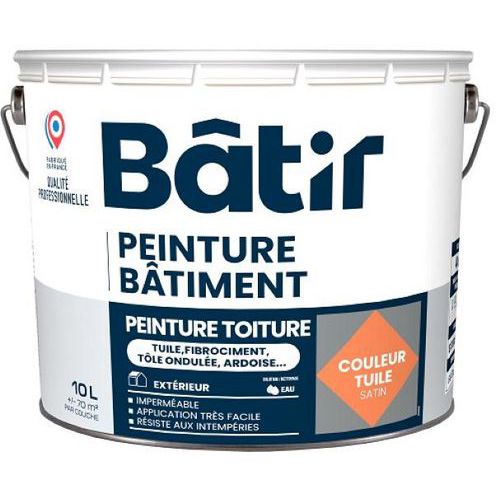 Peinture pour rénovation des toitures - Batir