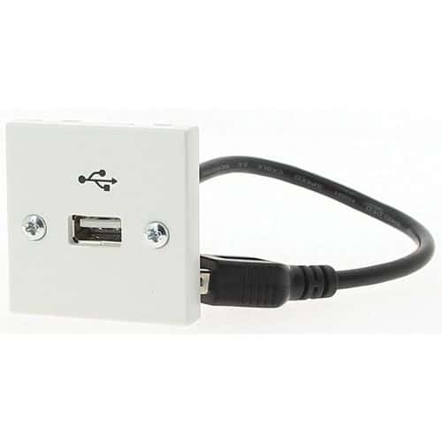 Plastron USB 20 cm Femelle-A / Femelle-A Erard D3C
