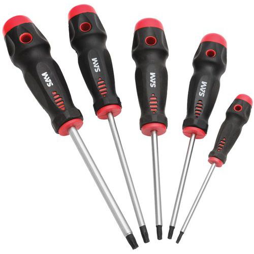 Tournevis TA empreinte Torx