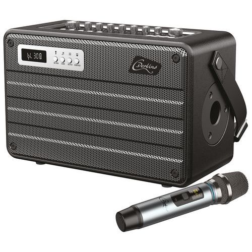 Combo portable tout en un the ROADY-FL avec micro UHF