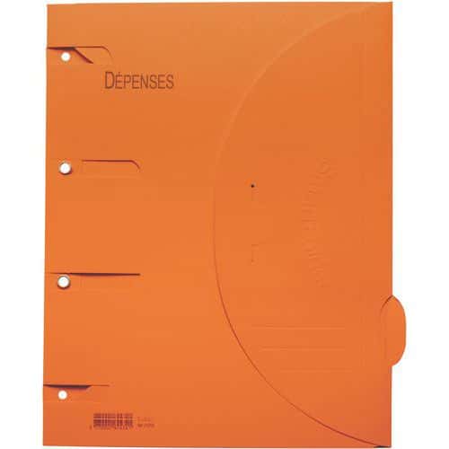 Chemise perforée Smartfolder - Dépenses - A4 - Djois