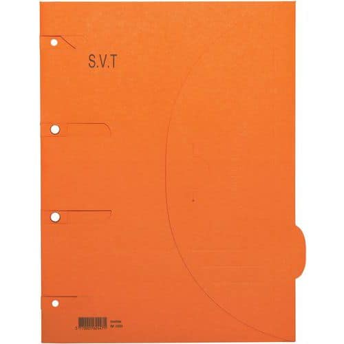 Chemise perforée Smartfolder - SVT - A4 - Djois