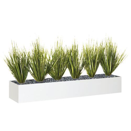 Jardinière basse JB12 Graminées