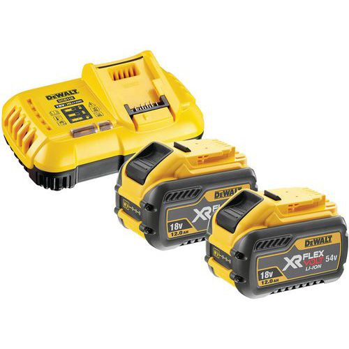 Chargeur rapide avec pack de 2 batteries XR flevolt - Dewalt