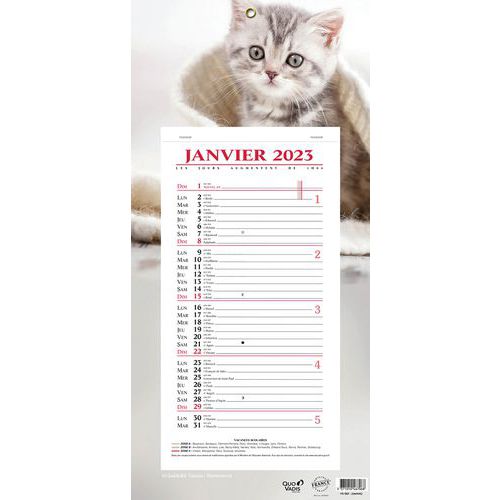 Calendrier 2023 BLOC MENSUEL 16X33,5 Animaux p10 - Quo Vadis - Manutan.fr